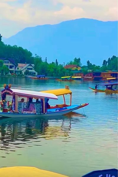 WhatsApp Image 2025-11-30 at 9.58.47 AM